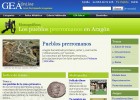 Pueblos prerromanos en Aragón | Recurso educativo 34732