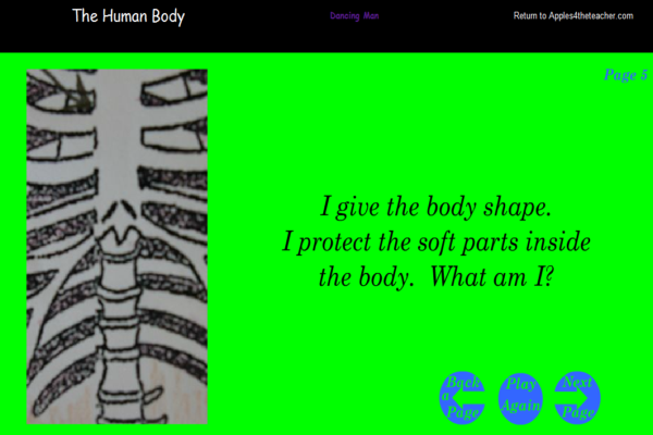 The human body | Recurso educativo 40072