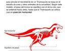 Como caminaba un Tiranosaurio | Recurso educativo 41214