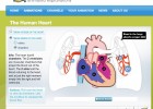 Video: The human heart | Recurso educativo 41292