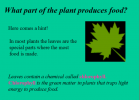 Photosyntesis | Recurso educativo 49135