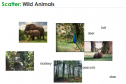 Wild animals | Recurso educativo 59919
