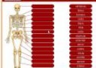 El esqueleto | Recurso educativo 10501