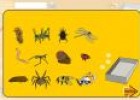 Clasificando invertebrados | Recurso educativo 1052