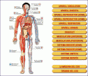 El cos humà | Recurso educativo 20248