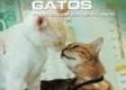 La guía máxima de los gatos | Recurso educativo 26183