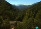Espacios naturales, hábitat con futuro, Sierra de Guadarrama. | Recurso educativo 26464