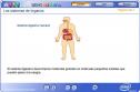 Los sistemas de órganos | Recurso educativo 2672