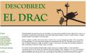 Descobreix el drac | Recurso educativo 32607