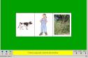 Persones, animals i plantes | Recurso educativo 4378