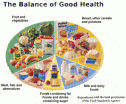 Webquest: Food and health | Recurso educativo 55514