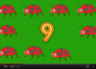 Video: Counting with bugs | Recurso educativo 69162