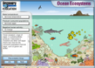 Ocean ecosystems | Recurso educativo 70145