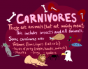 Carnivores | Recurso educativo 73396