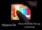 iXylophone Lite - on iPod touch | Recurso educativo 101343