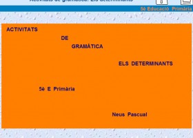 Activitats de gramàtica: Els determinants | Recurso educativo 104337