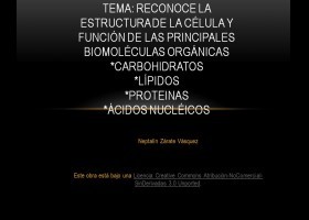 Reconoce la estructura y función de las principales biomoléculas | Recurso educativo 94702