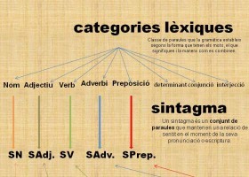 Categories lèxiques.jpg | Recurso educativo 613156