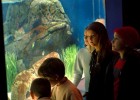 Los niños en el oceanografic | Recurso educativo 656577