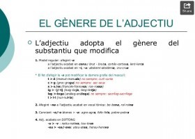 Gènere i nombre del nom i de l'adjectiu | Recurso educativo 675612