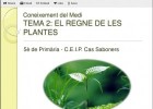 El regne de les plantes | Recurso educativo 677444