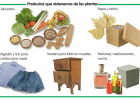 Productos que obtenemos de las plantas | Recurso educativo 686438