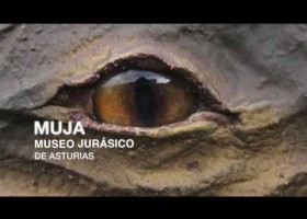 Museo Jurásico Asturias (MUJA). | Recurso educativo 687024