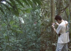 Un bosc al servei de la ciència | Recurso educativo 725368