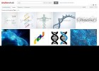 Imágenes de ADN | Recurso educativo 726447