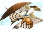 Seres fantásticos y mitológicos: Aves fantásticas, de diferentes culturas | Recurso educativo 730171