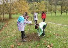 Niños replantando árboles | Recurso educativo 734335