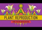 The Plants & The Bees: Plant Reproduction | Recurso educativo 743835