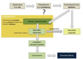 El mètode científic | Recurso educativo 748892