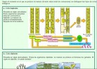 Los ciclos biológicos en vegetales | Recurso educativo 752616