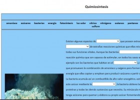 Quimiosíntesis | Recurso educativo 755905