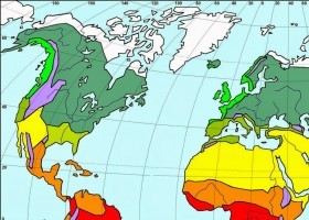 climas de la tierra.jpg | Recurso educativo 756408