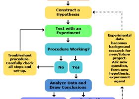 The Scientific Method | Recurso educativo 756571