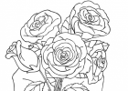 Colouring in roses | Recurso educativo 677666