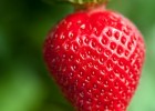 Strawberry | Recurso educativo 773463