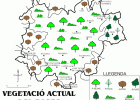 Mapa temàtic de vegetació | Recurso educativo 773978