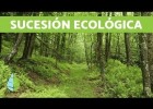 A sucesión ecolóxica | Recurso educativo 789887