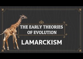 LAMARCK'S THEORY OF EVOLUTION | Recurso educativo 745992