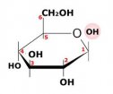 Los monosacáridos | Recurso educativo 61641