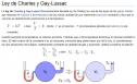 Leyes de Charles y Gay-Lussac | Recurso educativo 8462