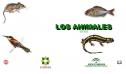 Los animales | Recurso educativo 8692