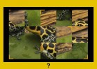 National Geographic’s Jigsaw | Recurso educativo 65442