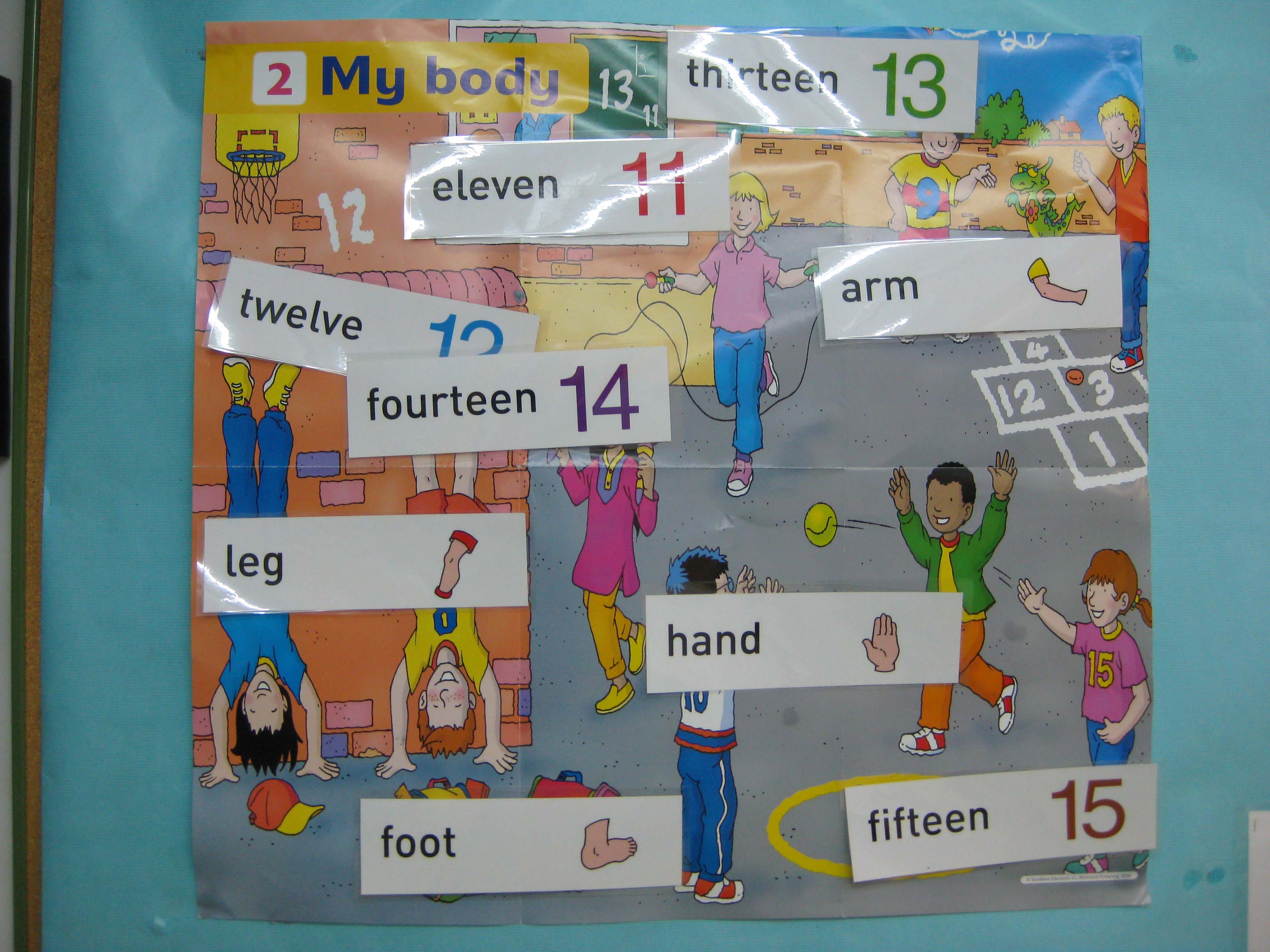 My body | Recurso educativo 90645