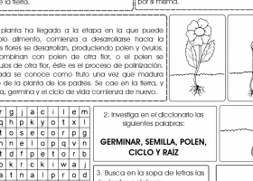 Ficha: el texto expositivo | Recurso educativo 736611