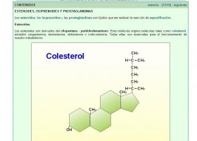 ESTEROIDES, ISOPRENOIDES Y PROSTAGLANDINAS | Recurso educativo 755327