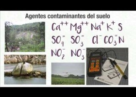 La contaminació del sòl | Recurso educativo 759676